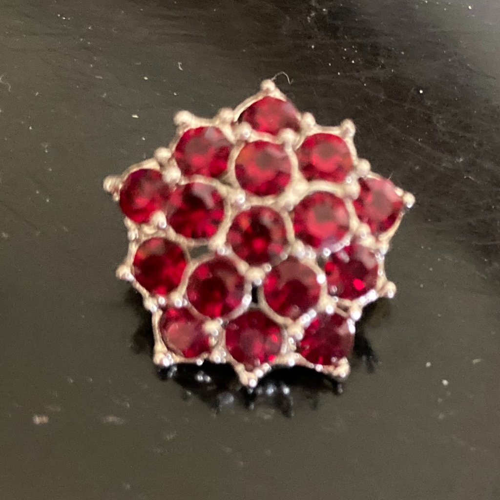 Tiny Red Ruby Brooch